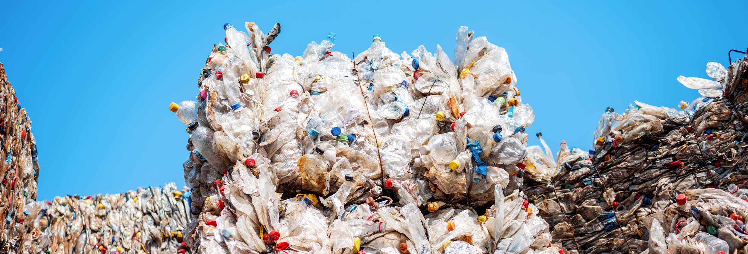 Tackling Plastic Waste Through Innovation: New Zealandâ€™s Path to Sustainability